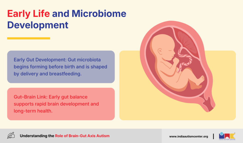 Early Life and Microbiome Development