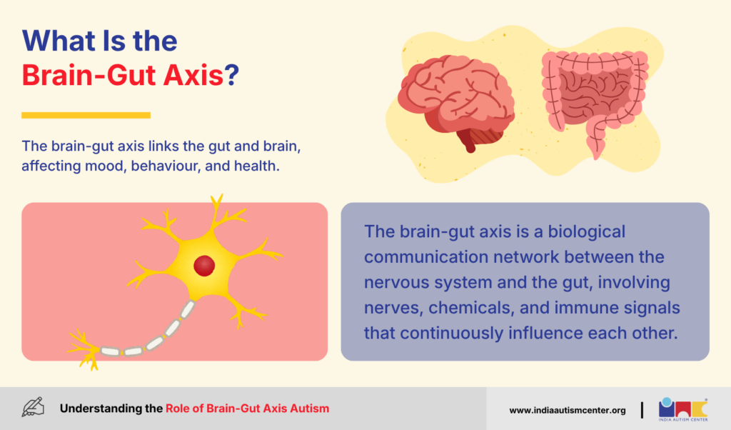 What Is the Brain-Gut Axis?