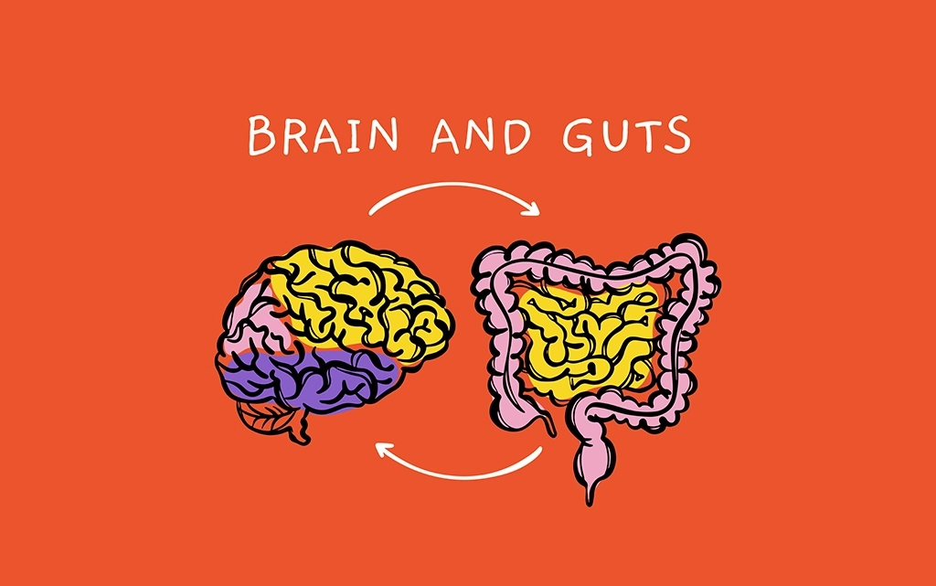 Understanding the Brain-Gut Axis: Its Role In Autism