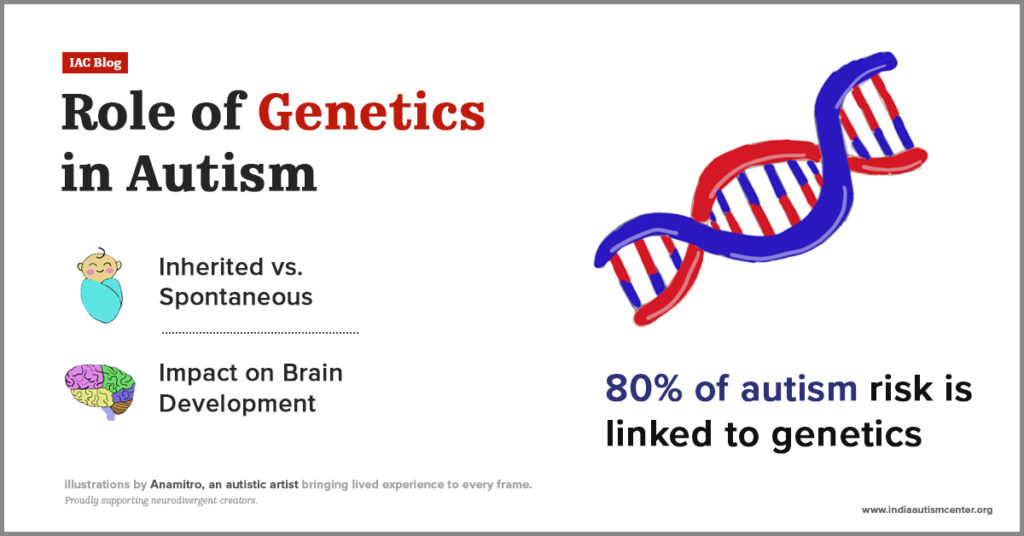 DNA strand illustration representing role of genetics in autism risk.