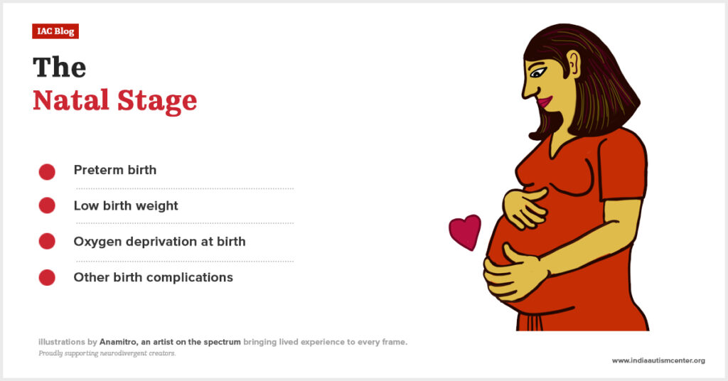 Birth complications like low birth weight and oxygen deprivation linked to autism.