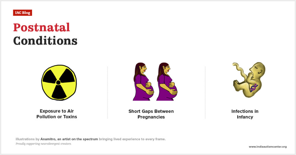 Environmental exposures in early life that may contribute to autism risk.