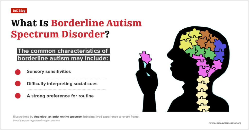 Borderline autism with subtle autism traits.