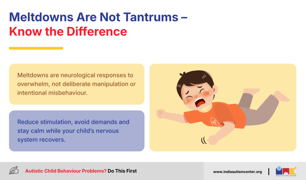 Meltdowns Are Not Tantrums - Know the Difference