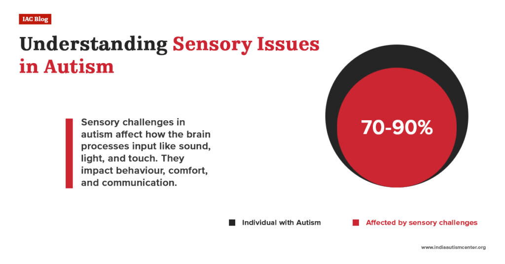 Understanding Sensory Issues in Autism