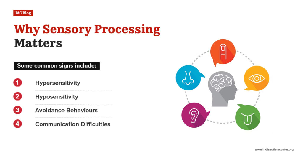 Why Sensory Processing Matters