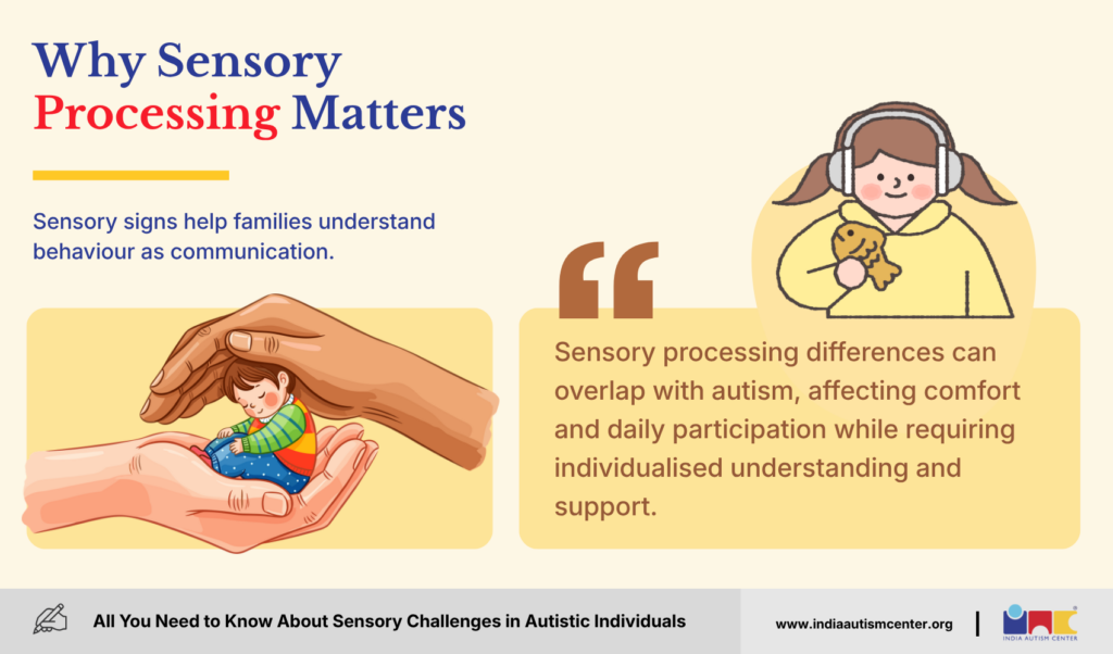 Why Sensory Processing Matters in Autism