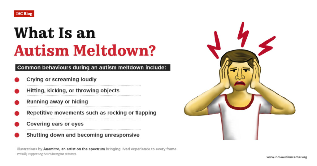 What Is an Autism Meltdown