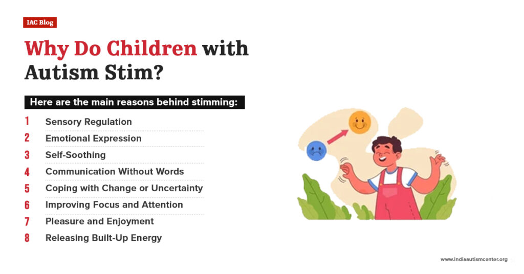 Why Do Children with Autism Stim?