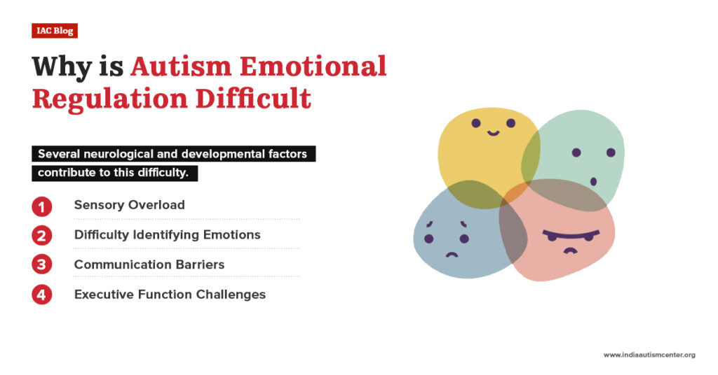 Why is Autism Emotional Regulation Difficult