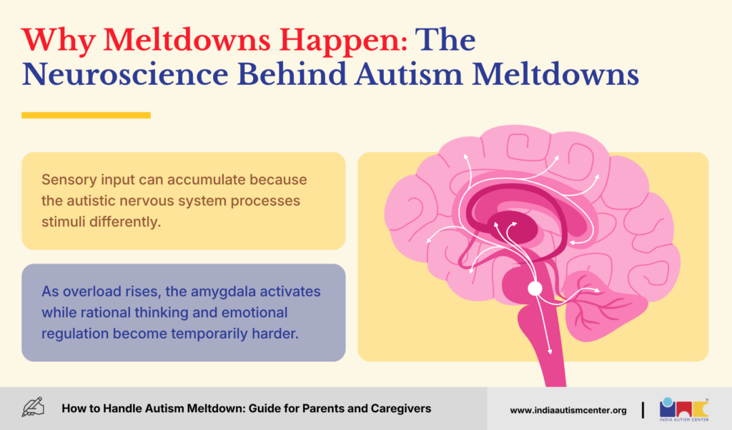 Why Meltdowns Happen: The Neuroscience Behind Autism Meltdowns