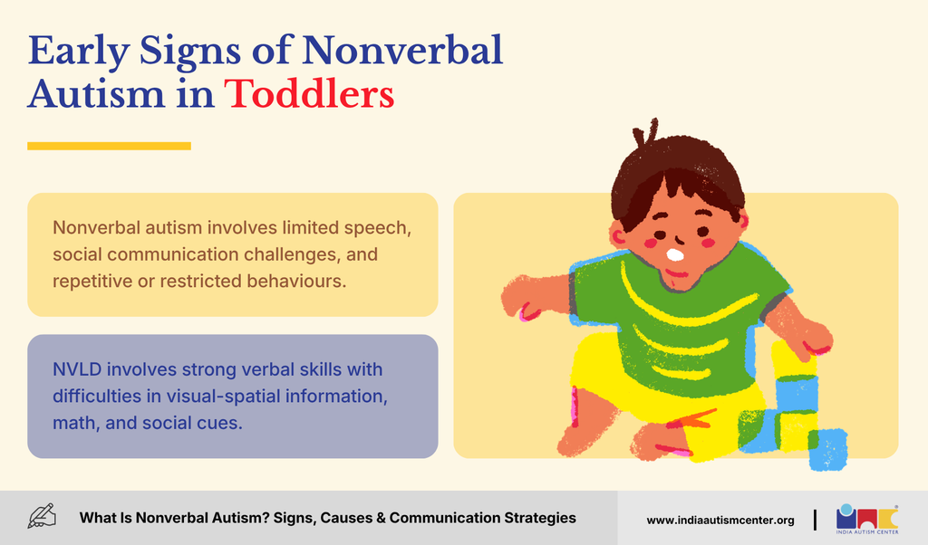 Early Signs of Nonverbal Autism in Toddlers