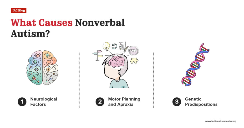 Causes of nonverbal autism neurological factors motor planning apraxia genetics
