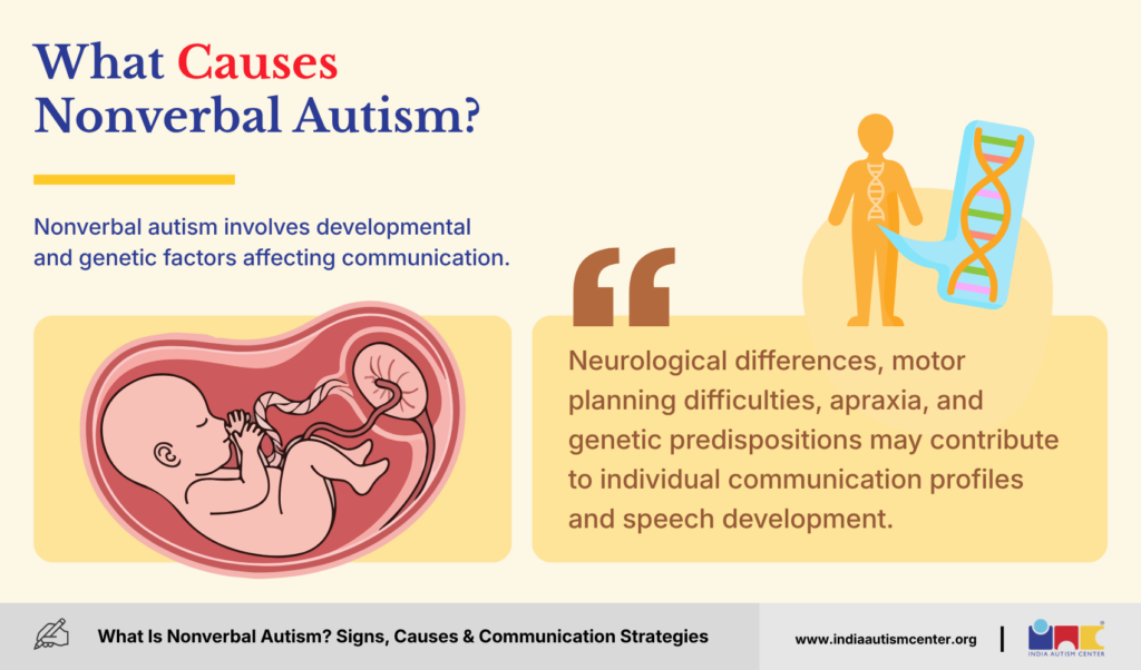 What Causes Nonverbal Autism?