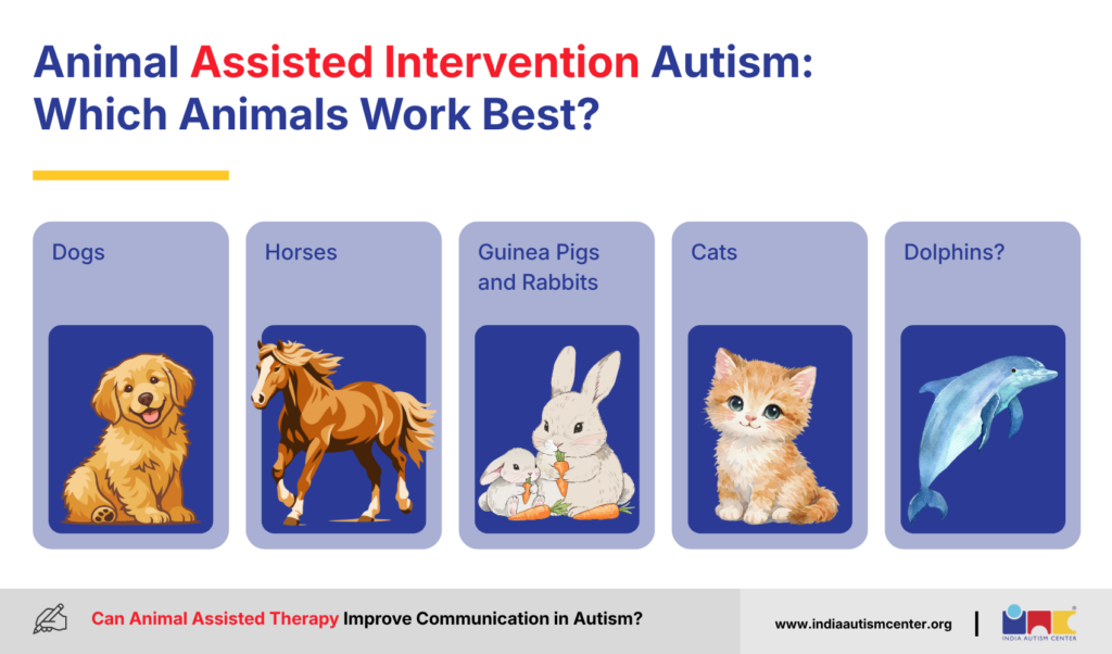 Animal Assisted Intervention Autism