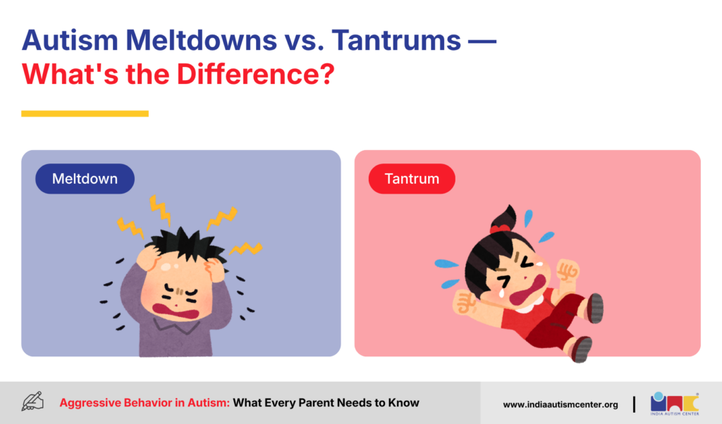 Autism Meltdowns vs. Tantrums — What's the Difference?