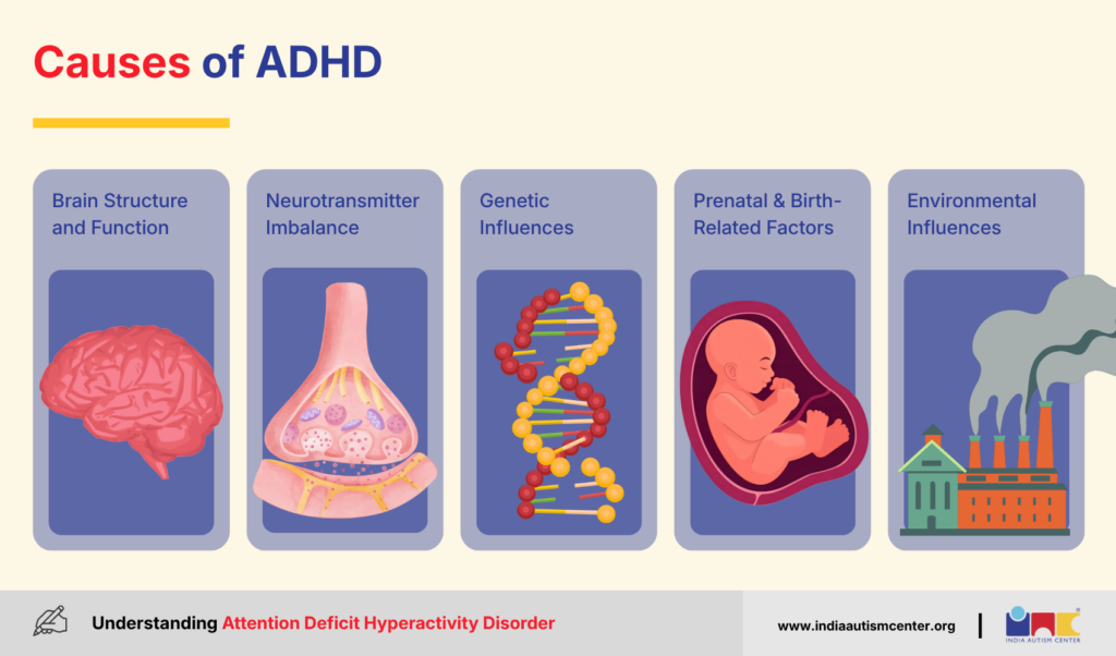 Causes of ADHD