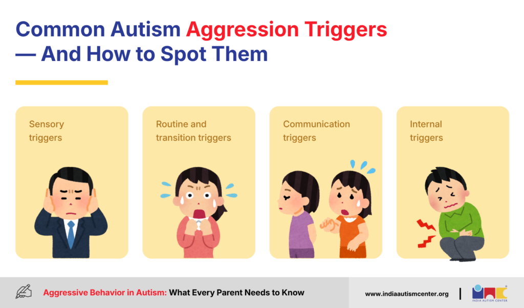 Common Autism Aggression Triggers — And How to Spot Them