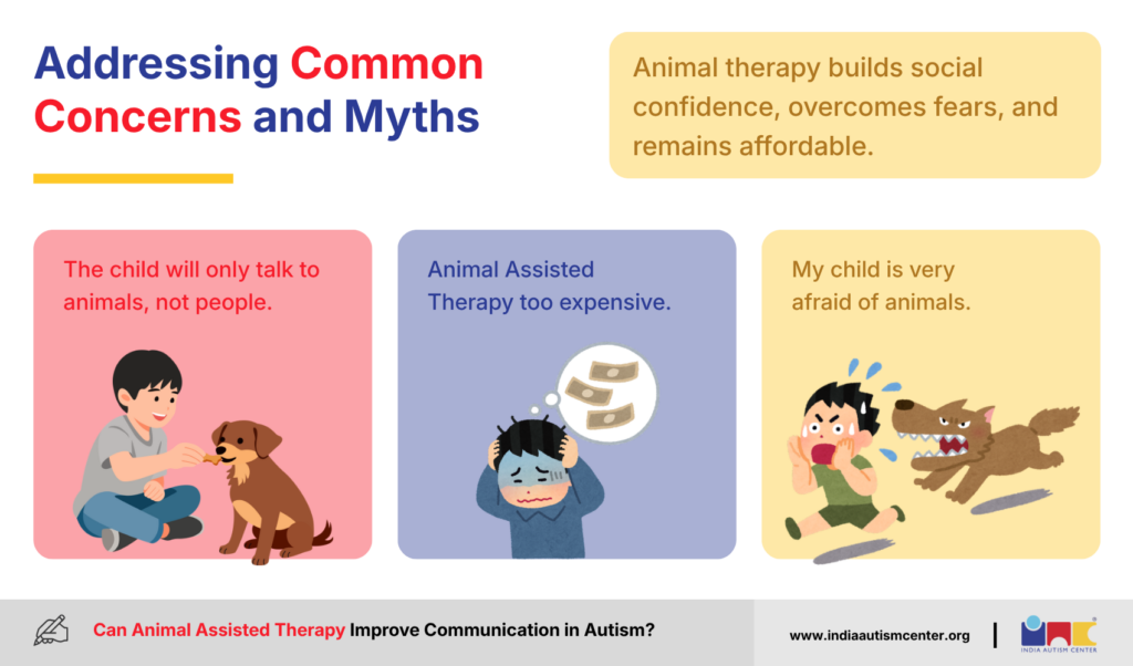 Common Concerns and Myths