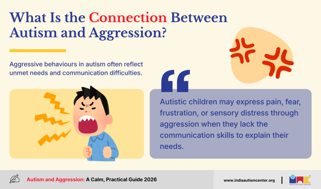 Connection between autism, communication difficulties, sensory distress, and aggression