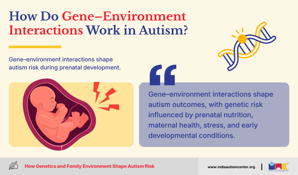 How Do Gene–Environment Interactions Work in Autism?