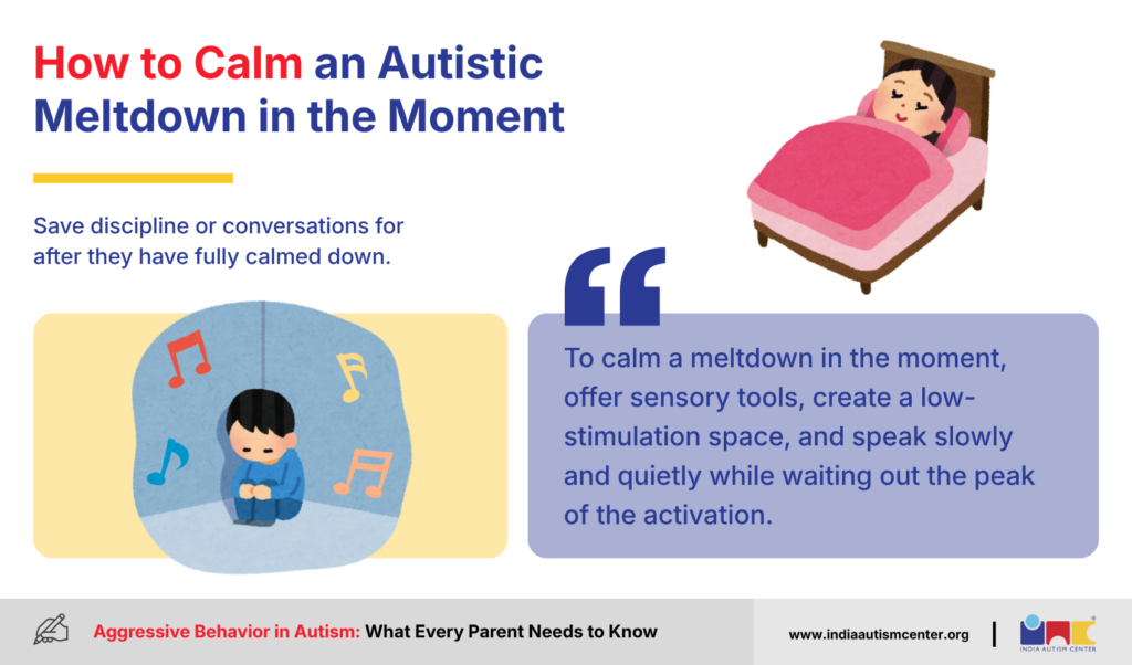 How to Calm an Autistic Meltdown in the Moment
