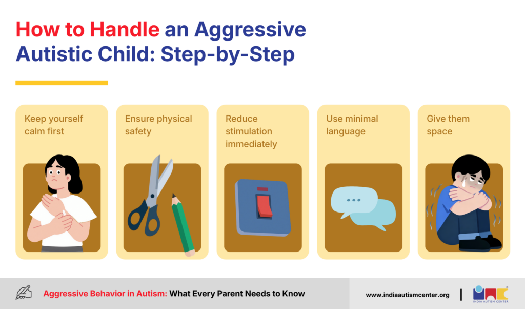 How to Handle an Aggressive Autistic Child: Step-by-Step