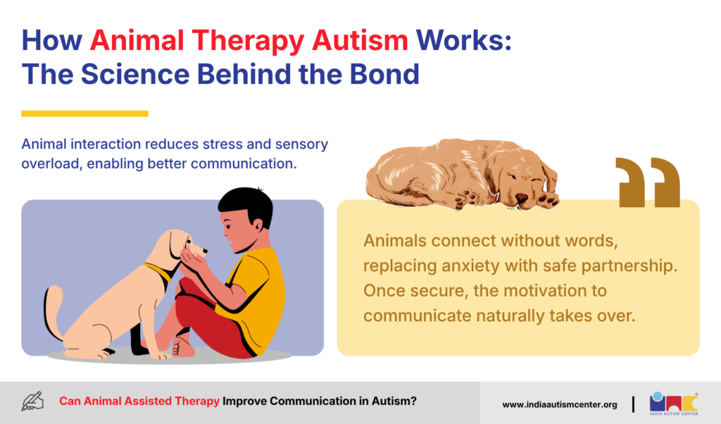 How Animal Assisted Therapy Works