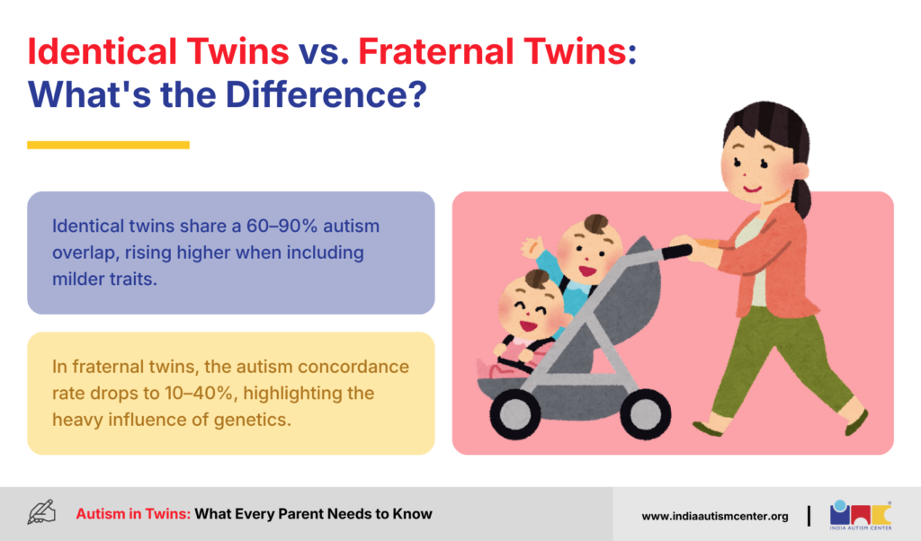 Identical Twins vs. Fraternal Twins: What's the Difference?