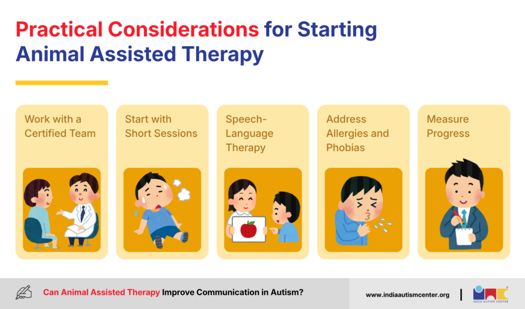 Practical Considerations for Starting Animal Assisted Therapy
