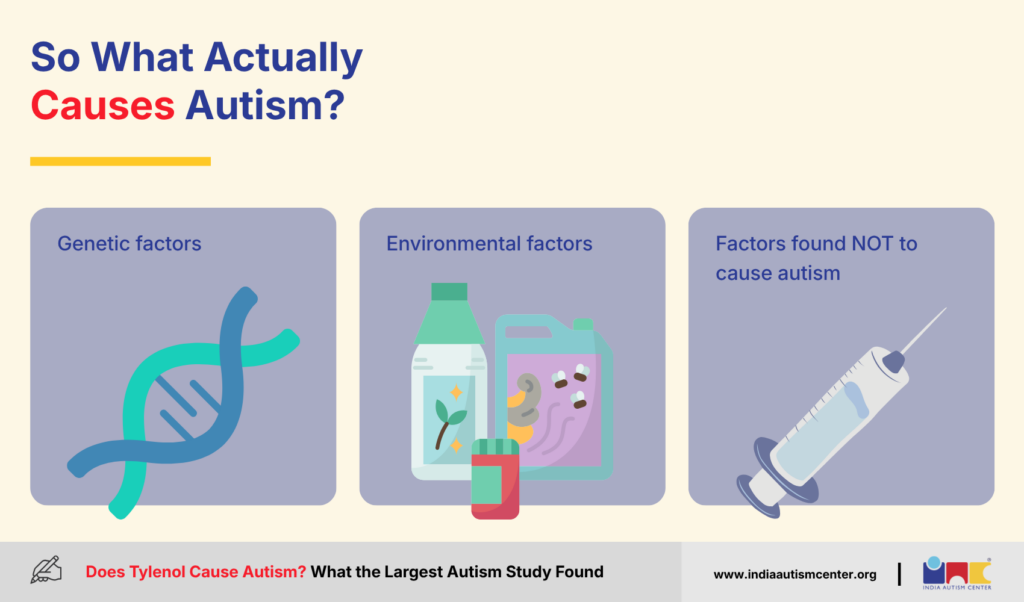 So What Actually Causes Autism?