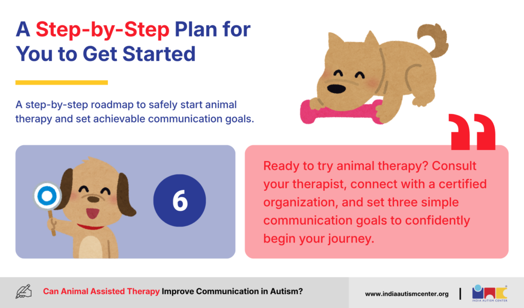 Step-by-Step Plan for