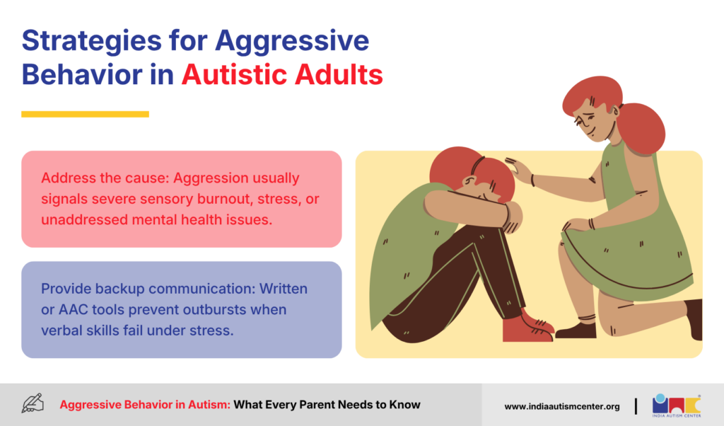 Strategies for Aggressive Behavior in Autistic Adults