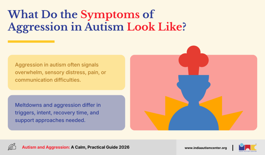 Common signs and symptoms of aggression in children with autism