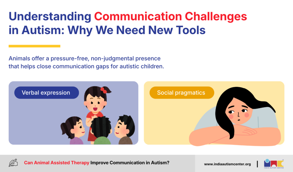 Understanding Communication Challenges in Autism