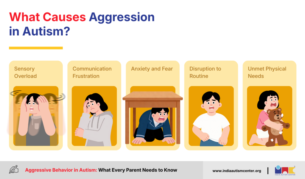 What Causes Aggression in Autism?