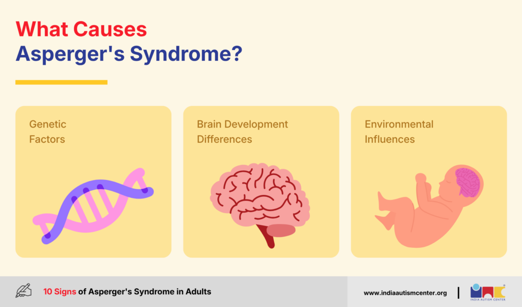 Causes of Asperger’s syndrome including genetic factors, brain development and environmental influences