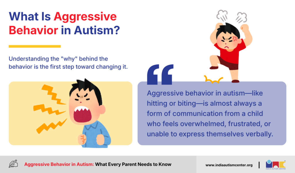 What Is Aggressive Behavior in Autism?