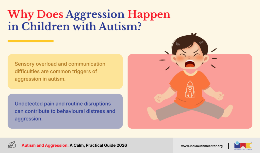 Child with autism showing aggression due to sensory overload or communication difficulties