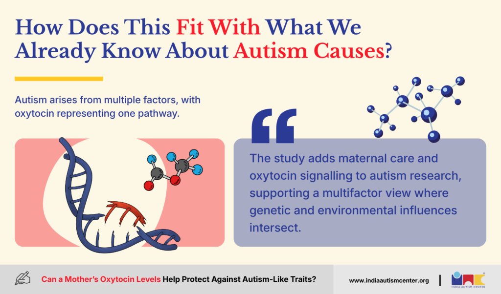 How Does This Fit With What We Already Know About Autism Causes?