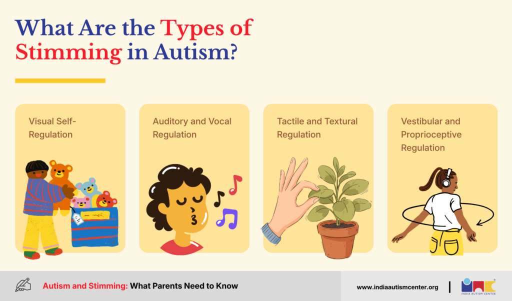Visual, auditory, tactile and vestibular types of stimming in autism