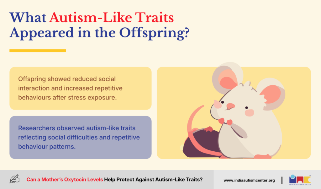 What Autism-Like Traits Appeared in the Offspring?