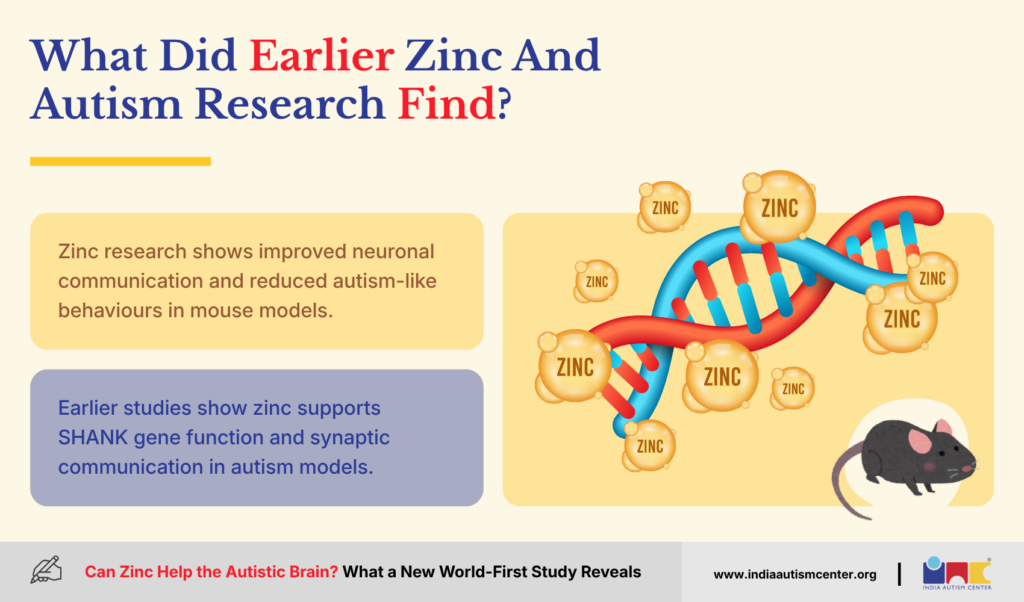 What Did Earlier Zinc And Autism Research Find?