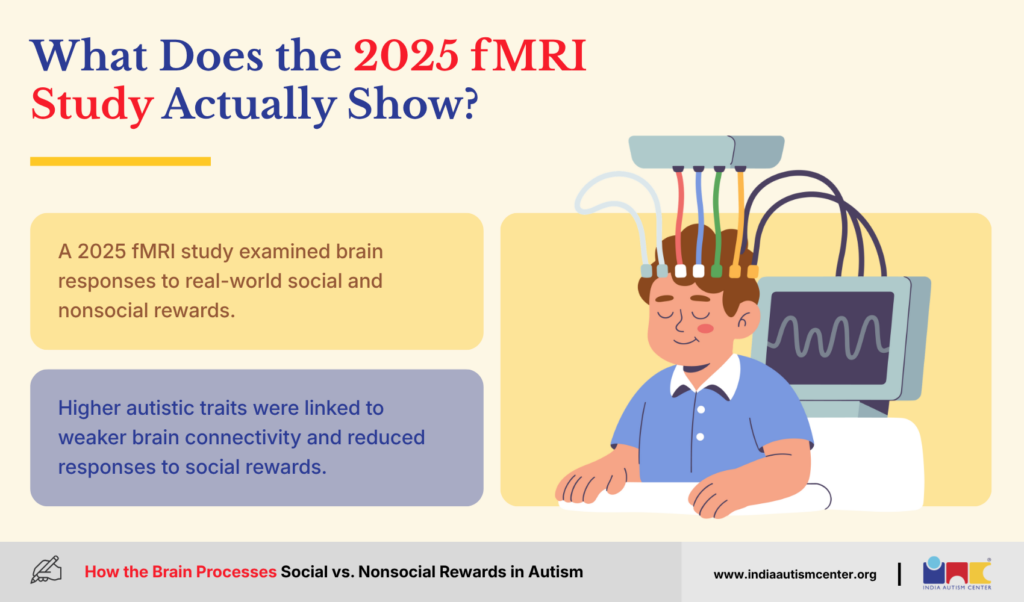What Does the 2025 fMRI Study Actually Show?