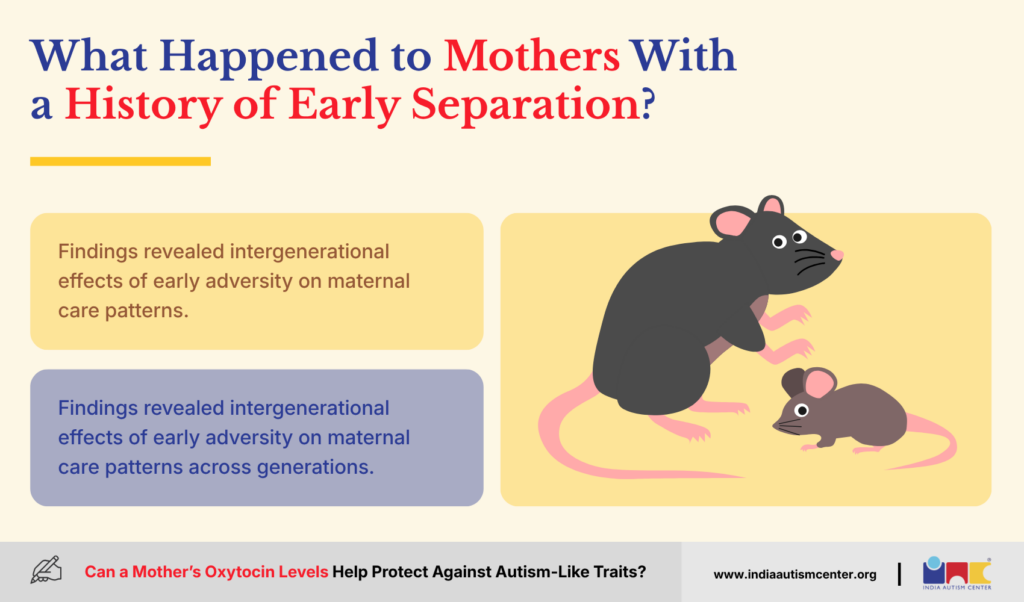 What Happened to Mothers With a History of Early Separation?