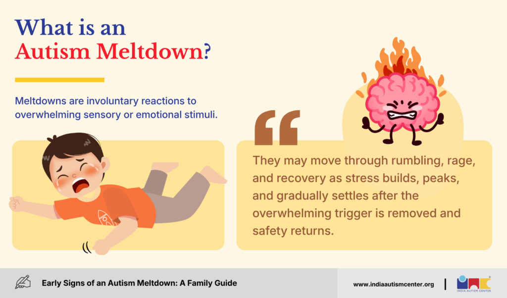 What is an Autism Meltdown?