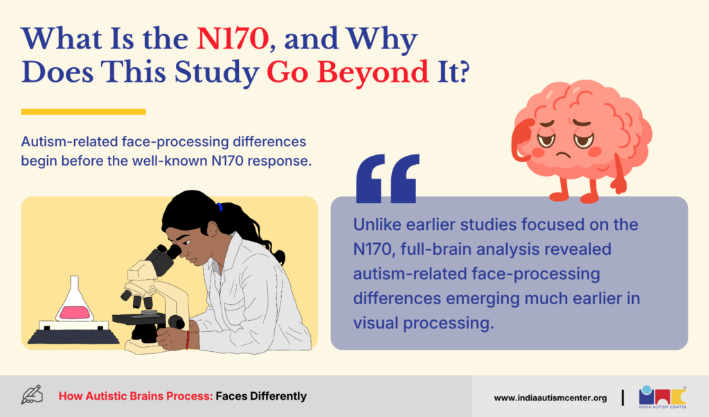 What Is the N170, and Why Does This Study Go Beyond It?
