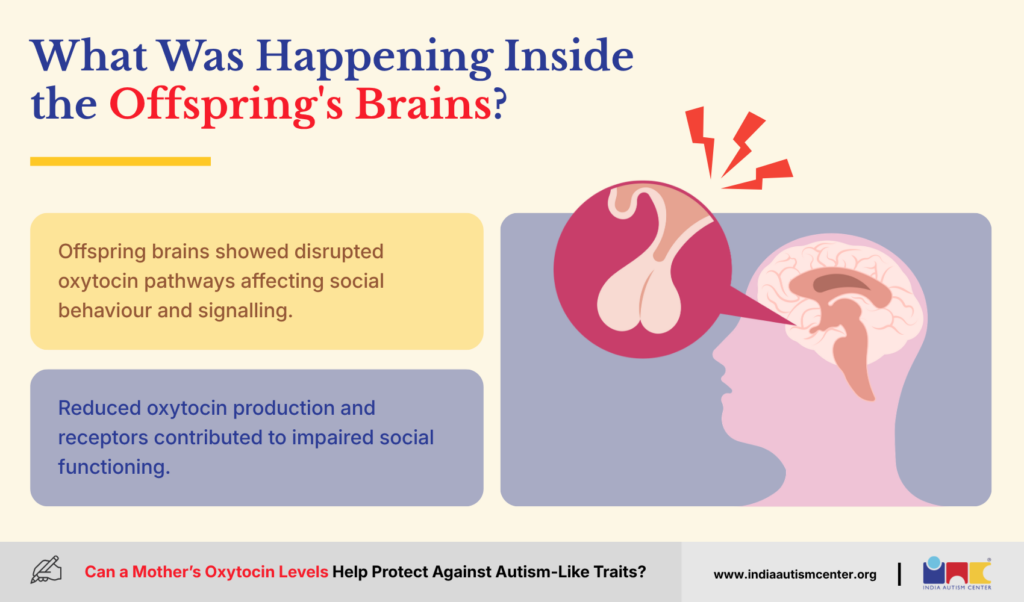 What Was Happening Inside the Offspring's Brains?