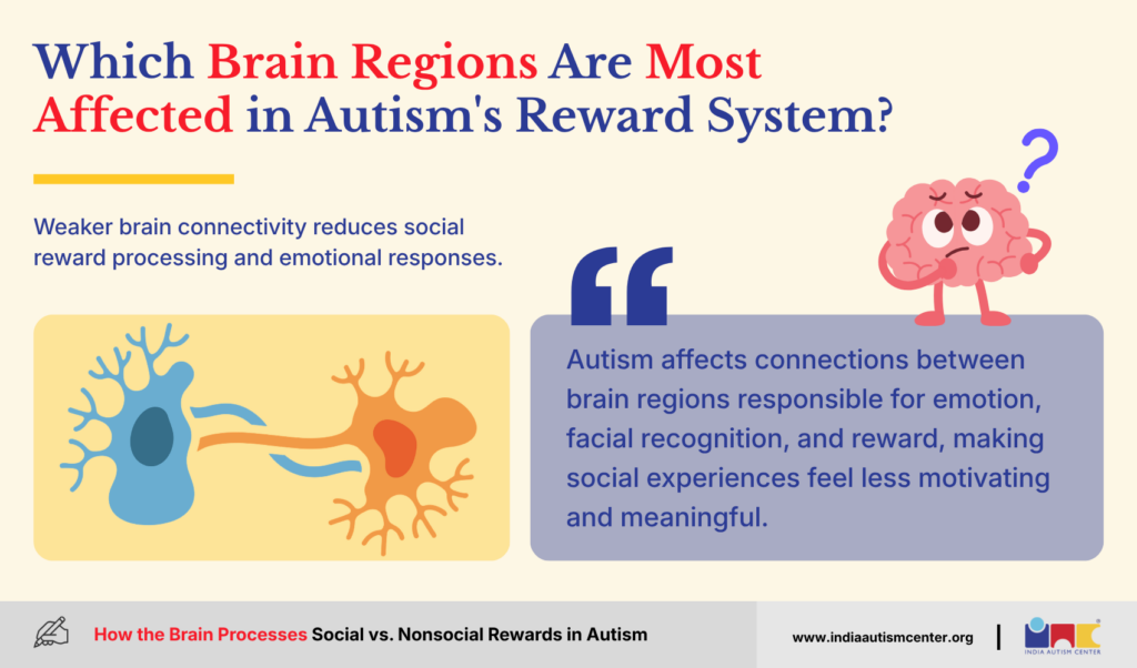 Which Brain Regions Are Most Affected in Autism's Reward System?