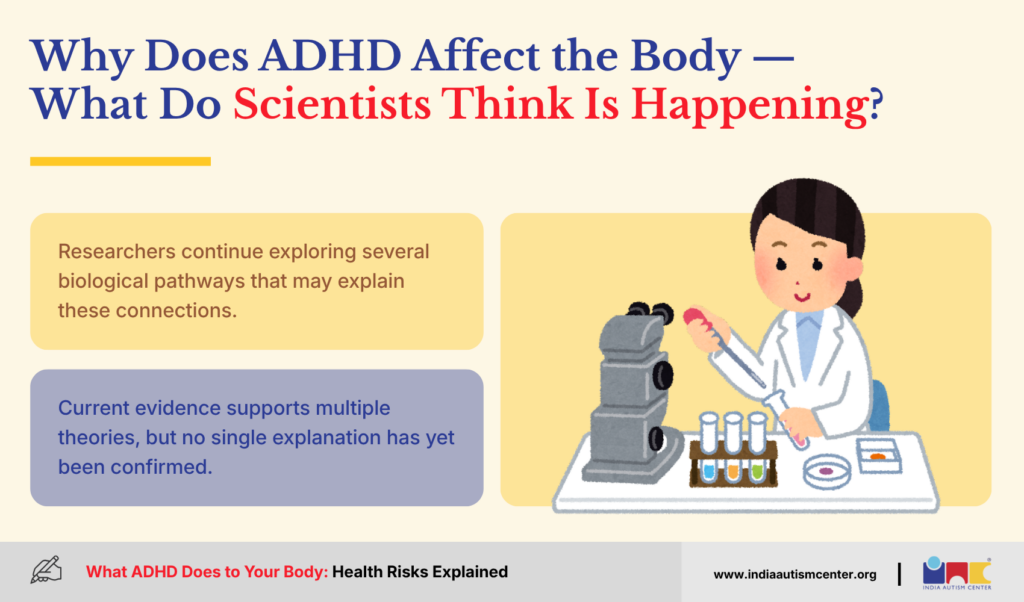 Why Does ADHD Affect the Body